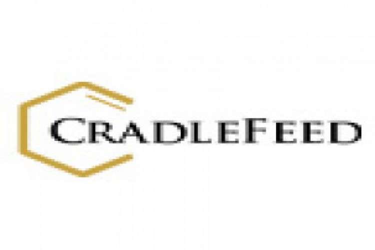 Cradlefeed Indian Commercial Real Estate Consultancy Private Limited 769991