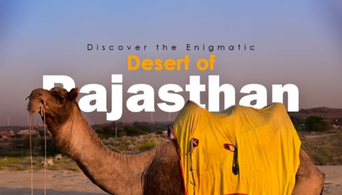 Desert Stay With Rajasthani Charm 17553348494