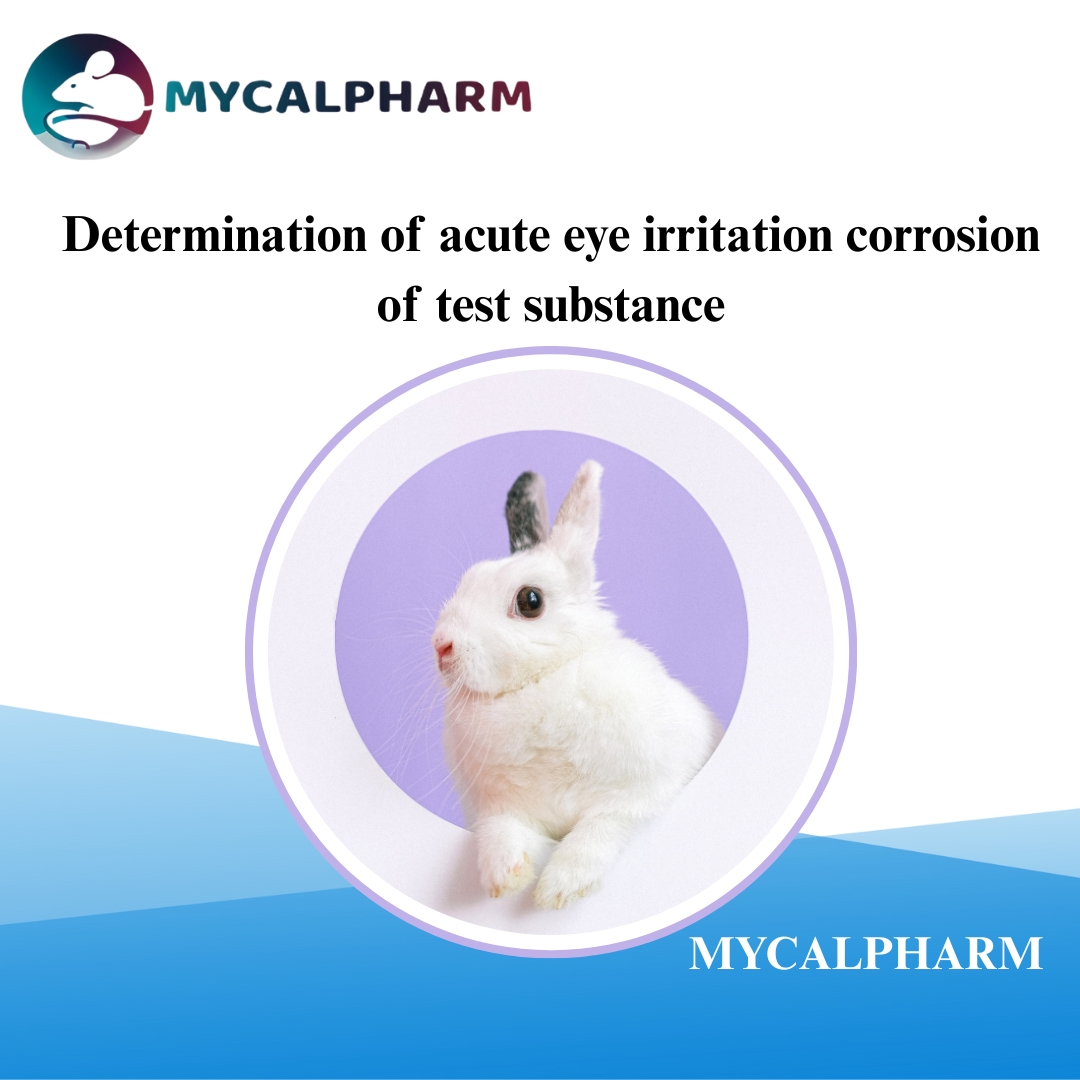 Determination Of Acute Eye Irritation Corrosion Of Test Substance 17476520257