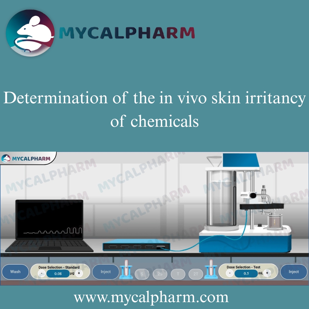 Determination Of The In Vivo Skin Irritancy Of Chemicals 17472208756