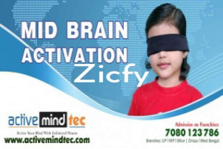 Develop Your Childrens Mind With Midbrain Development Cours 3812243