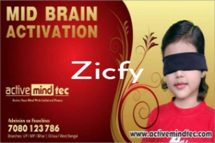 Develop Your Childrens Mind With Midbrain Development Cours 6637026