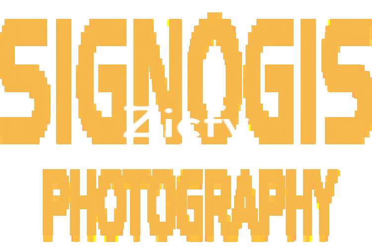 Diploma In Commercial Photography  Candid Photography 2025414