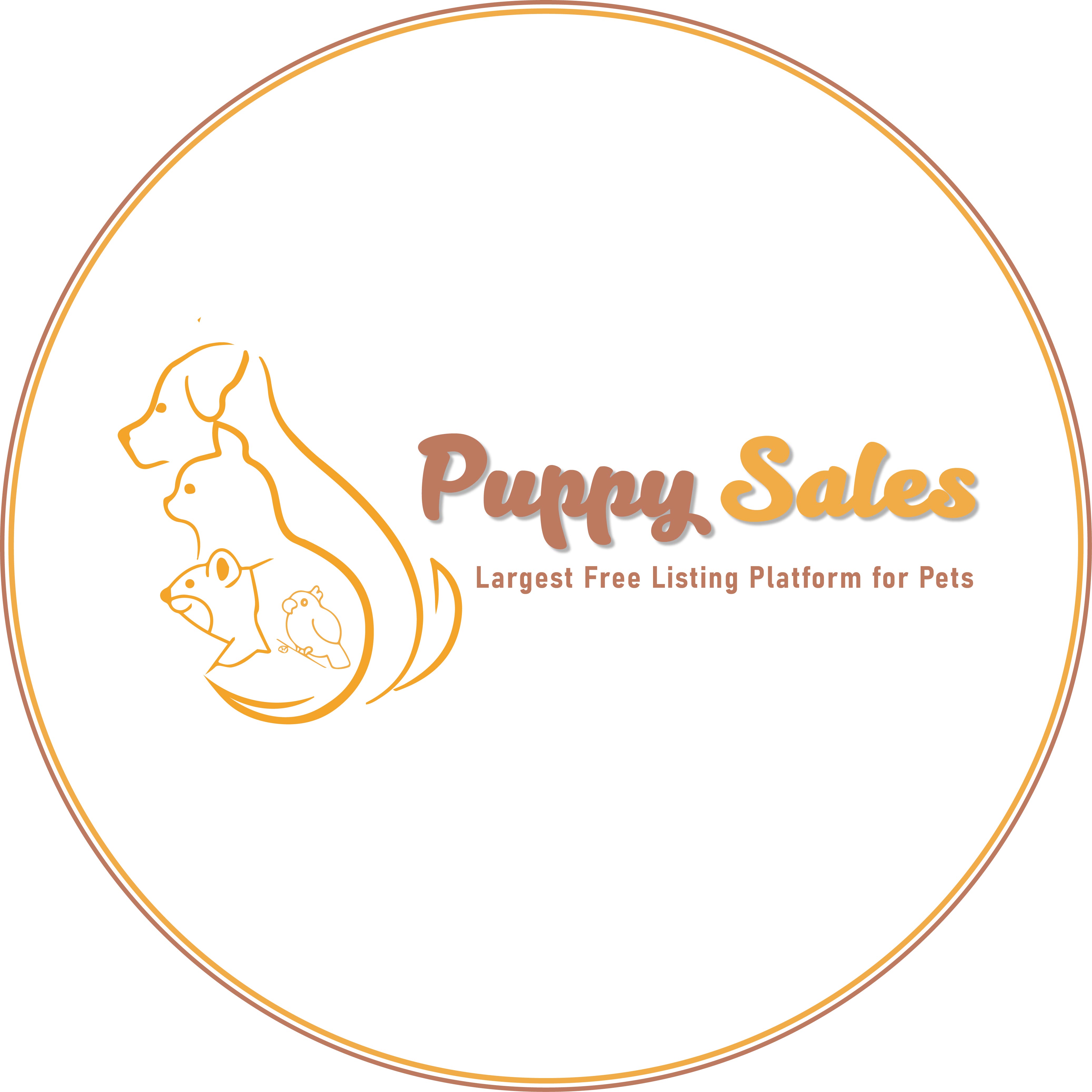 Dogs For Sale Online Puppy Sales 174729973010