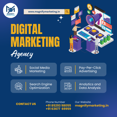Dominate Jaipur Digital Market With Magnify Marketing 17461757269