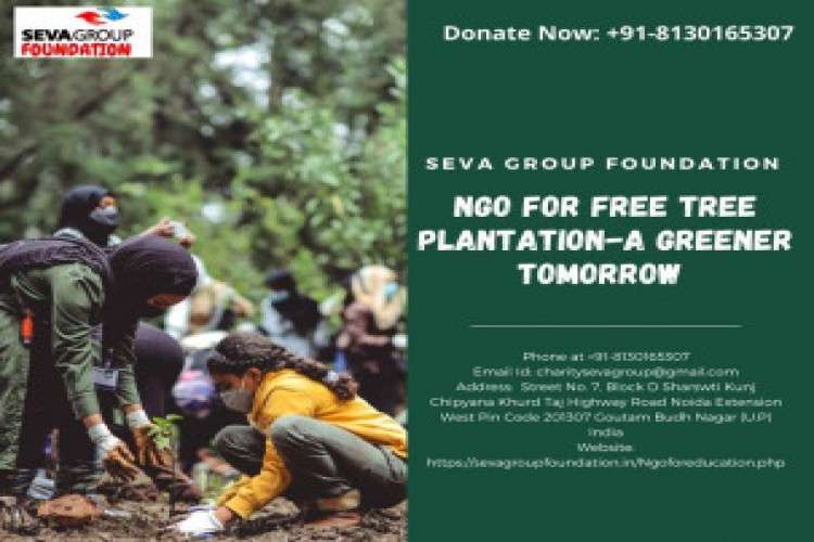 Donate And Volunteer To Fight Against Pollution 4667289