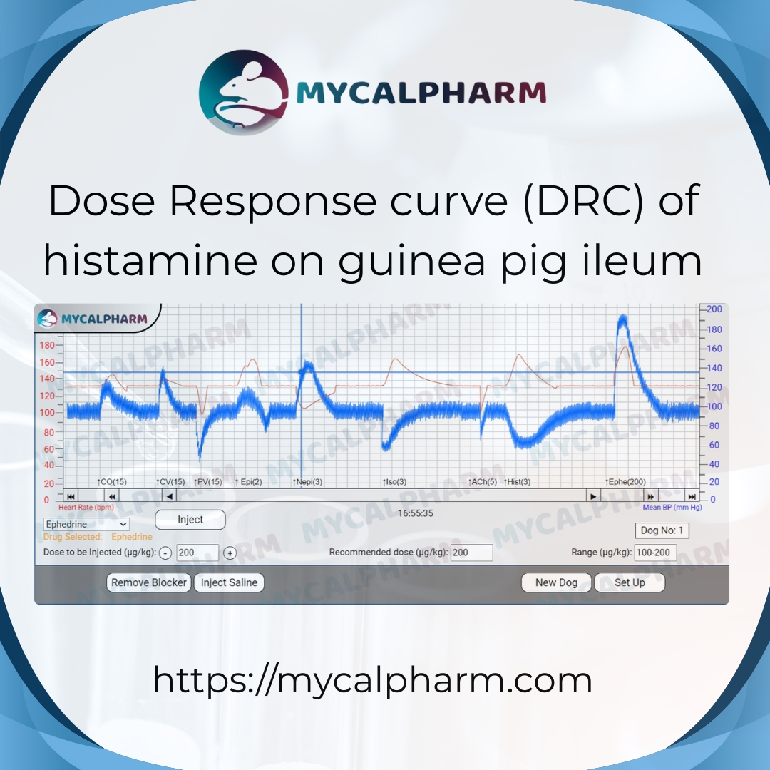 Dose Response Curve Drc Of Histamine On Guinea Pig Ileum 17504204445