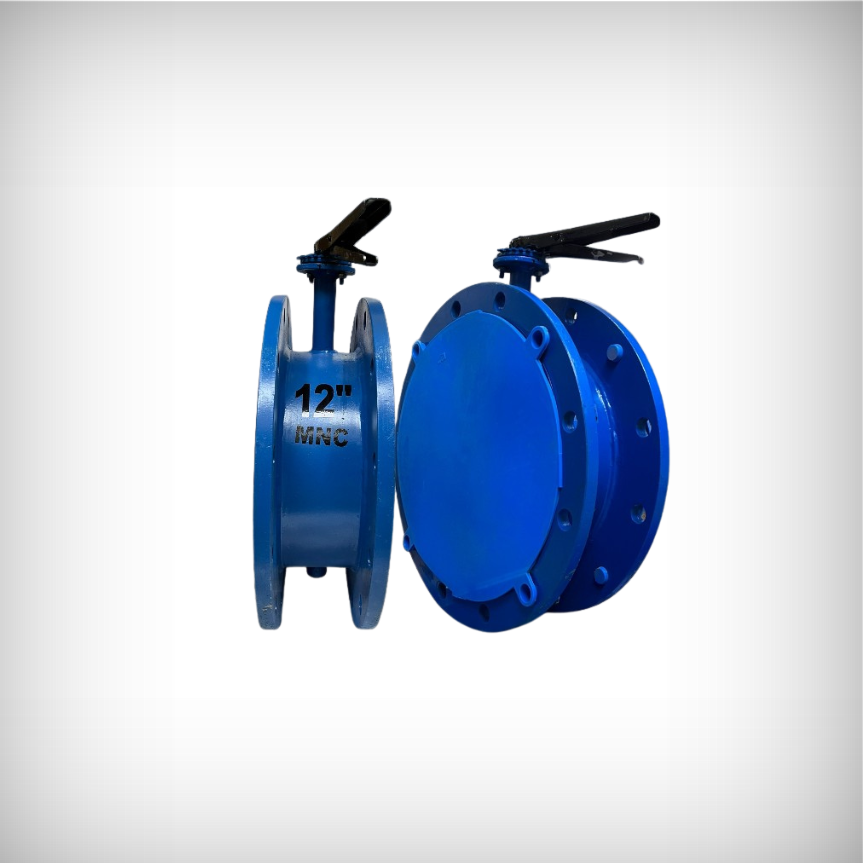 Double Offset Butterfly Valve Manufacturers Ahmedabad 17562907125