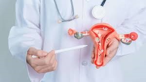 Effective Pcos Treatment In Thane 17325257629