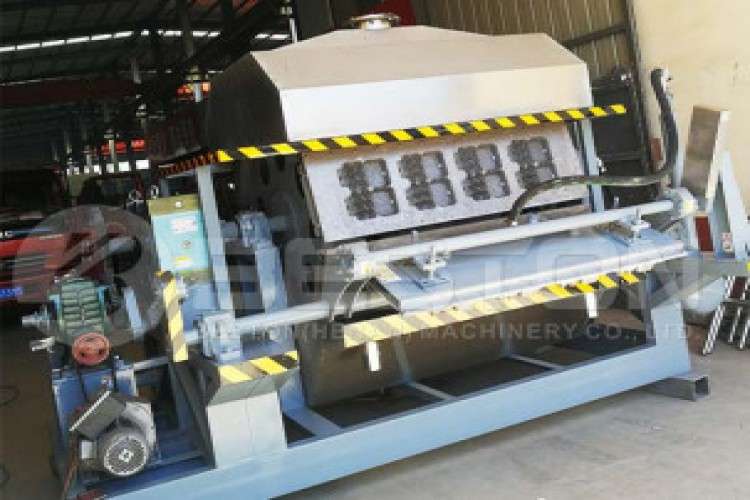 Egg Carton Machine For Sale 3194061