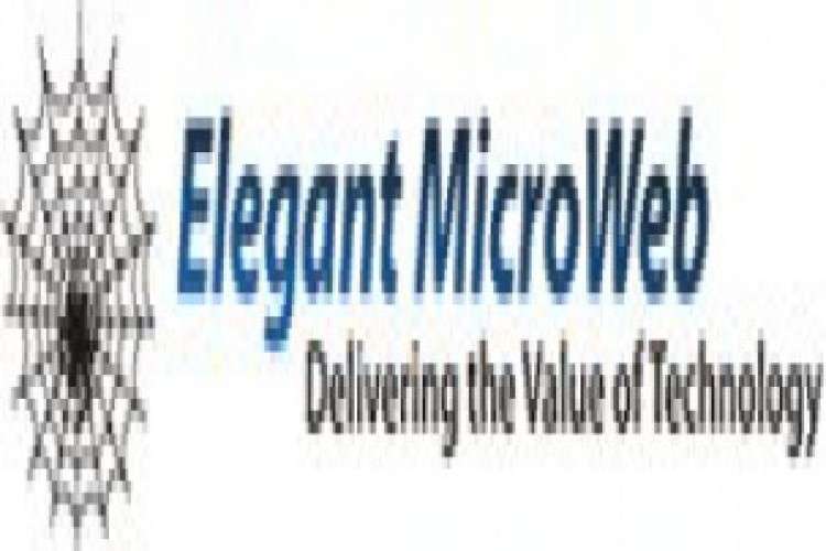Elegant Microweb Software And Application Development Services 6970814