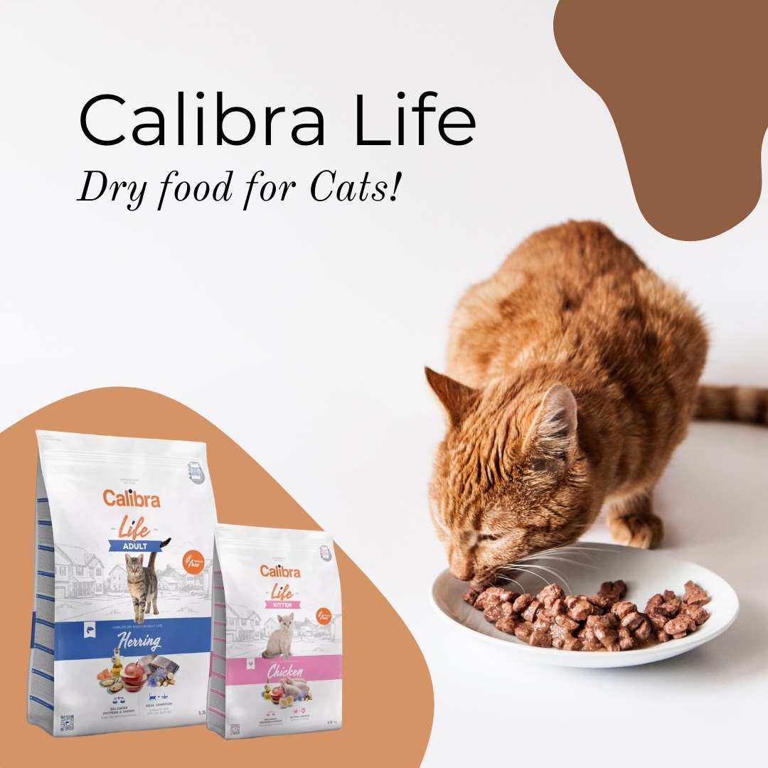 Eurovets Veterinary Products In Dubai 17340689705