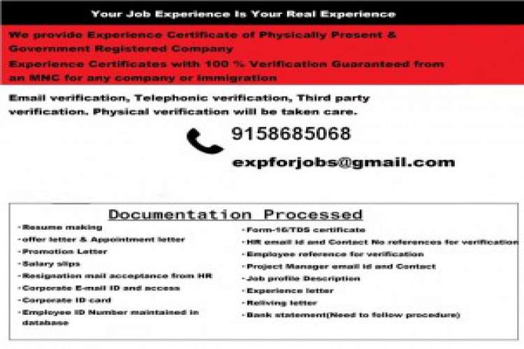 Experience Certificate Provider In Mumbai With Verification 5942366