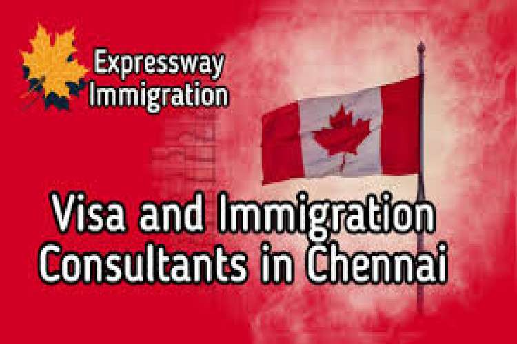 Expressway Immigration Consultancy Service 16406855120