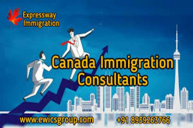 Expressway Immigration Consultancy Service 16406855128