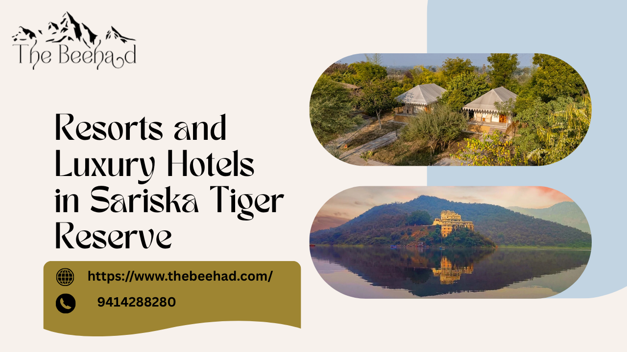 Family Friendly Resorts And Luxury Hotels In Sariska Tiger Reserve 17731218837