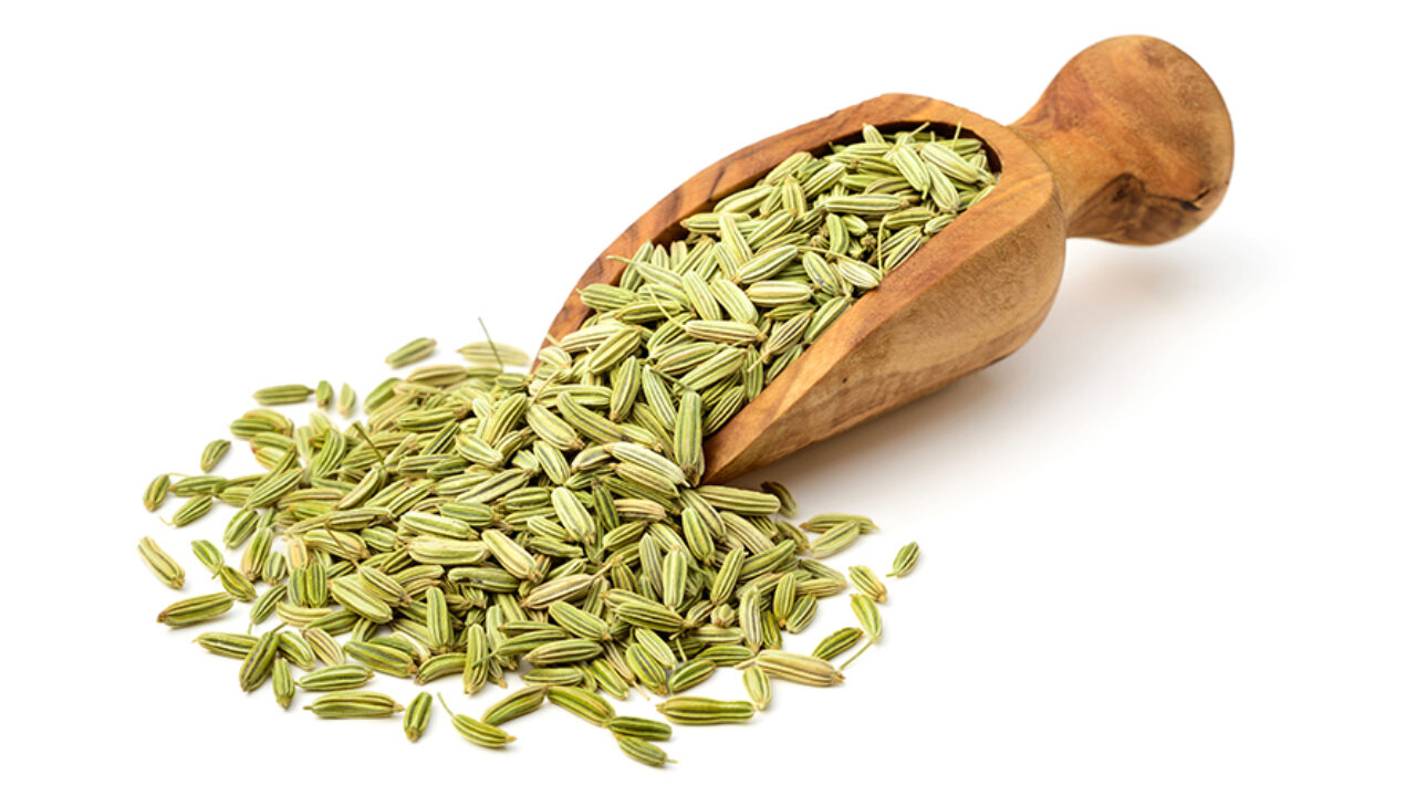 Fennel Seeds Exporter 16571047869