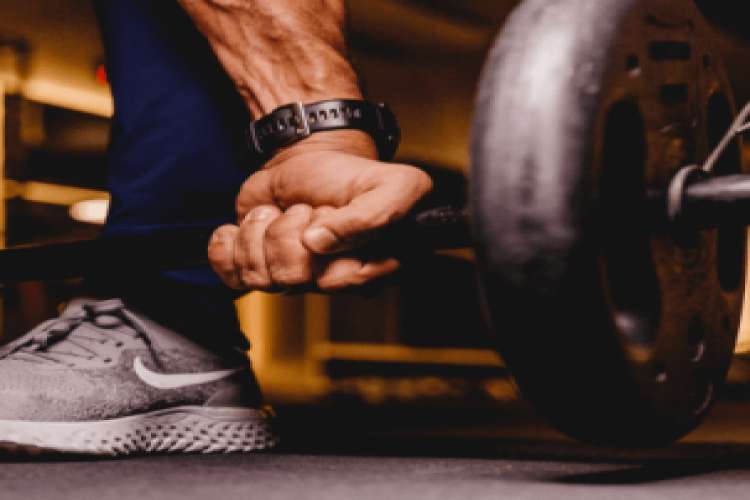 Fitness Fuel Factory 9345049