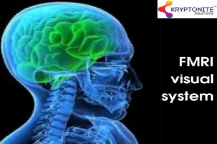 Fmri Visual System   Kryptonite Solutions 3765743