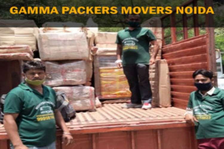 Gamma Packers Movers Noida   Home Shifting Company 391661