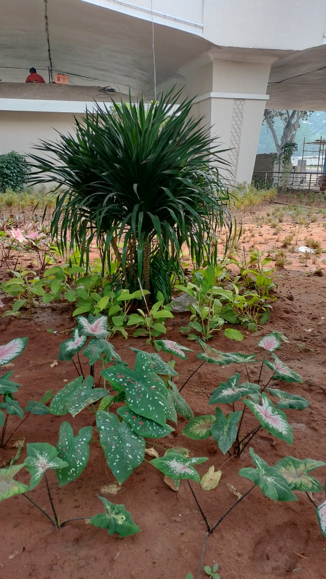 Garden Landscaping Services In Chennai 17317589102