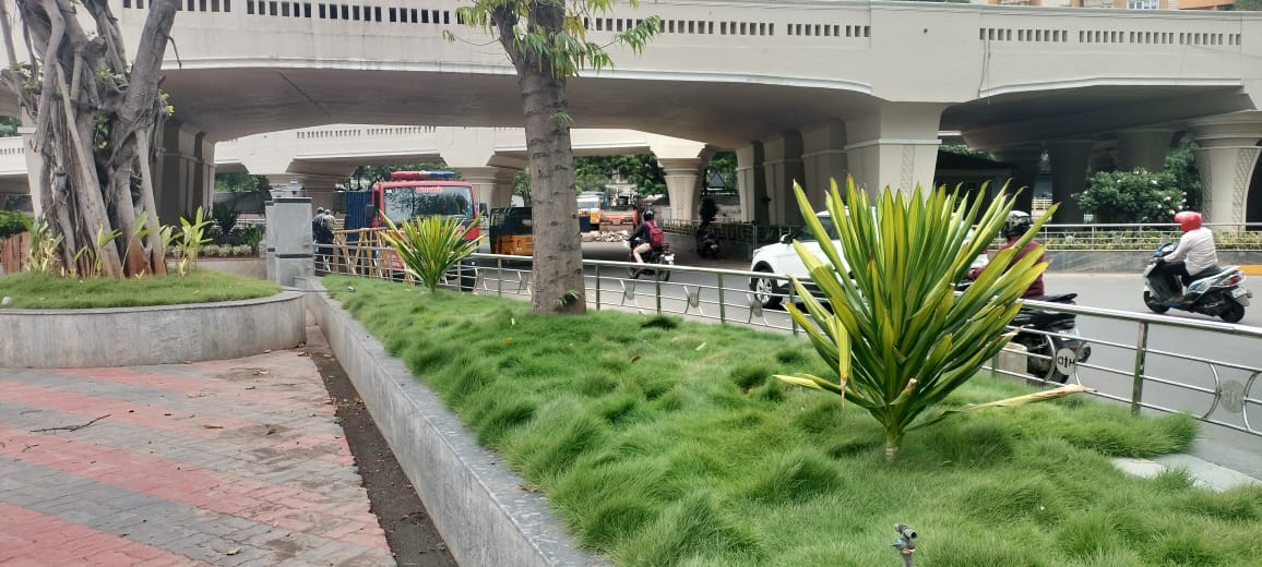 Garden Landscaping Services In Chennai 17317589113