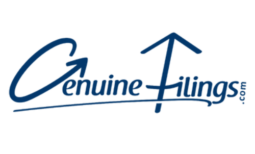 Gst Registration Service In Budh Vihar New Delhi 17484170391