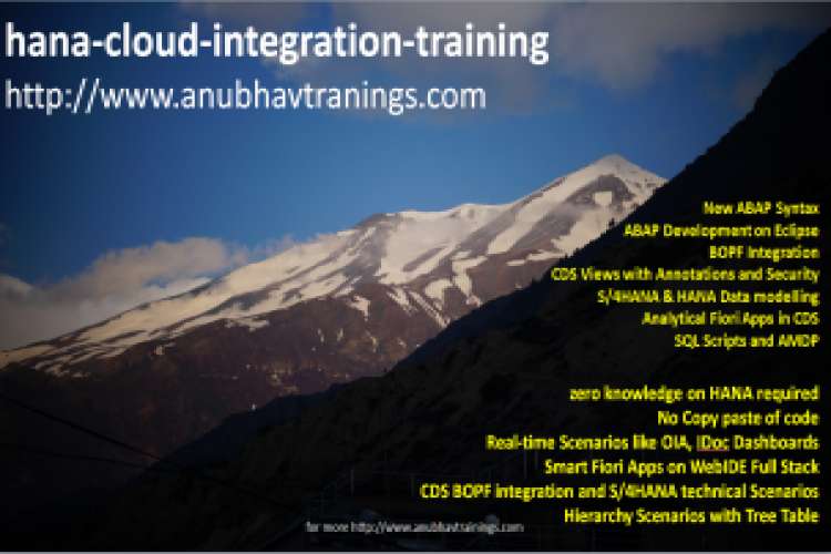 Hana Cloud Integration Training 8686046