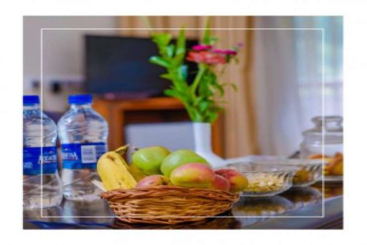 Have An Amazing Stay At The Best Hotels Near Atal Tunnel 2806524