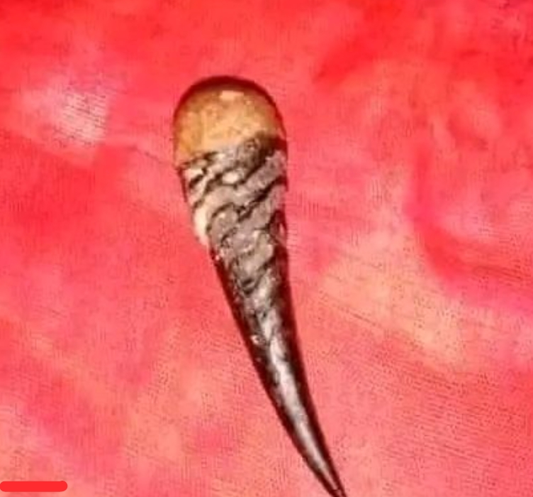 How Can I Meet A Powerful Herbalist In Africa 17783449261