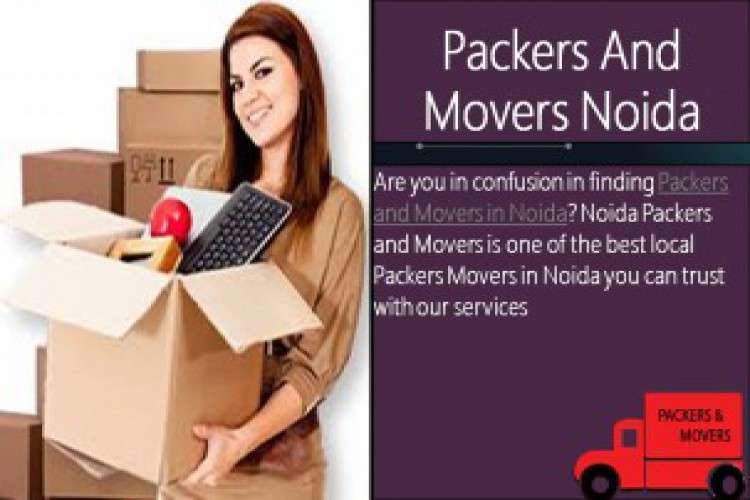 How To Pick The Packers And Movers In Noida 8361549