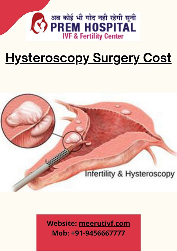 Hysteroscopy Surgery Cost 16564798842