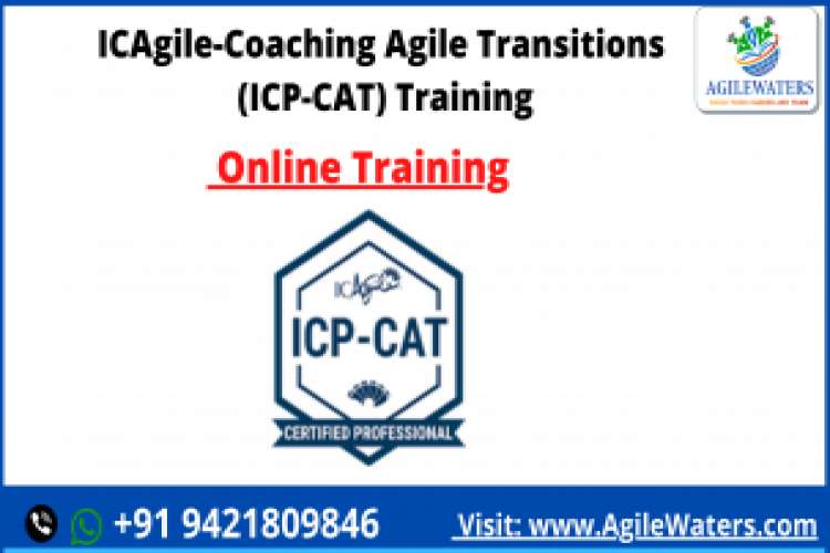 Icagile Coaching Agile Transitions Icp Cat Certification 6491913