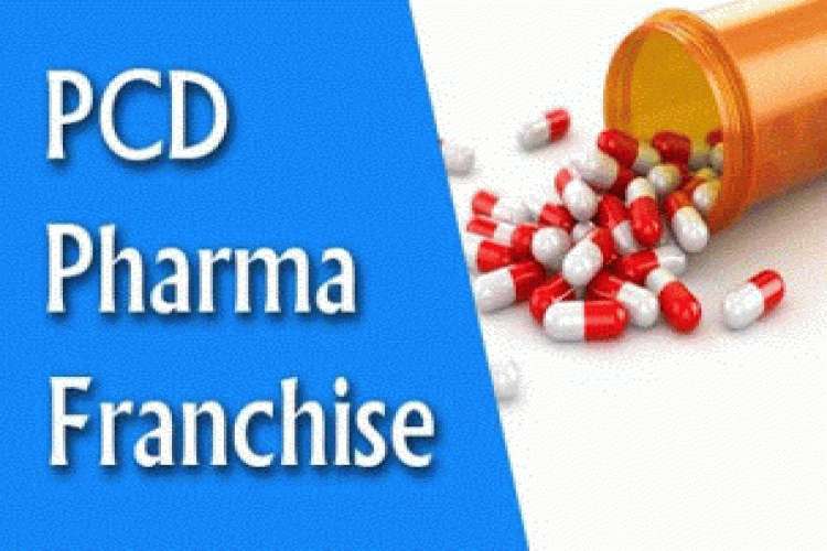 Indian Pharmaceutical Franchise Company 7555857