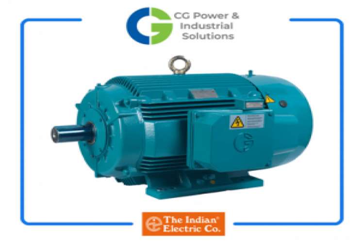 Induction Motor Dealer 7964723