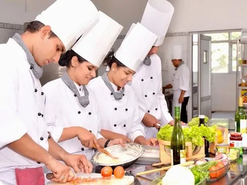 Institute Of Hotel Management Jaipur Rajasthan 17182768958