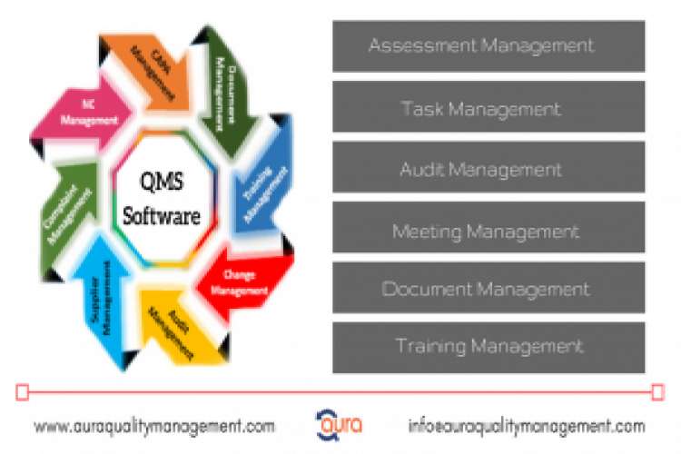 Internal Audit Management System 178703