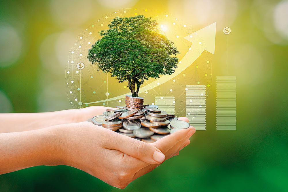 Invest In India Wealth Inflation Hedge Growth Opportunity 17740098640