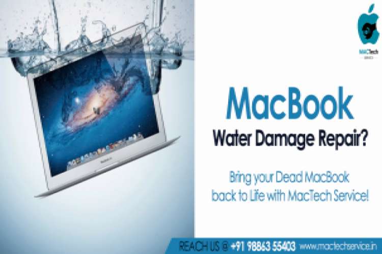 Iphone Screen Repair Bangalore 6490418