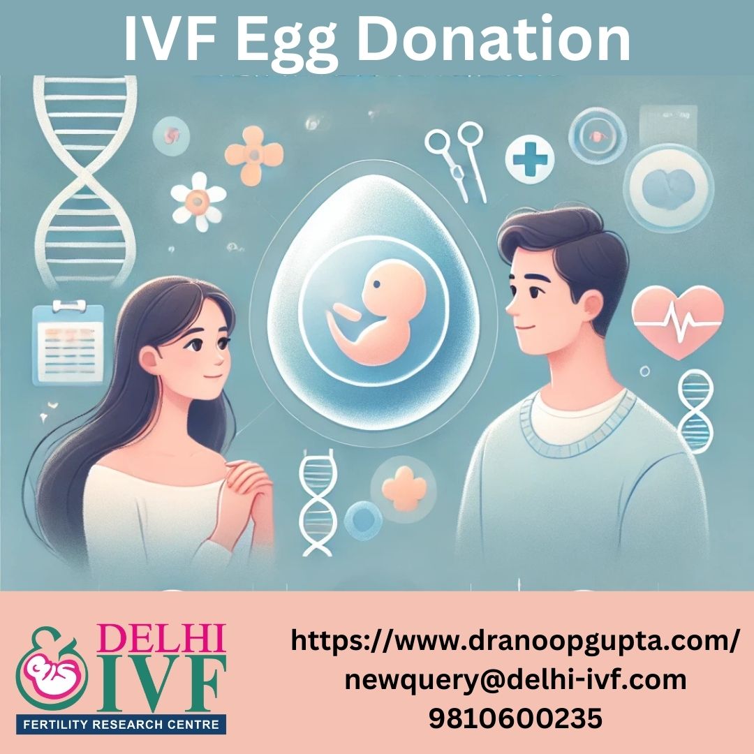 Ivf Egg Donation In Delhi 173088129410