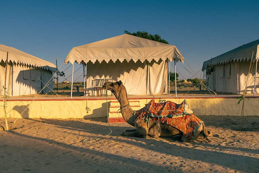 Jaisalmer Desert Camp Package 178594751610