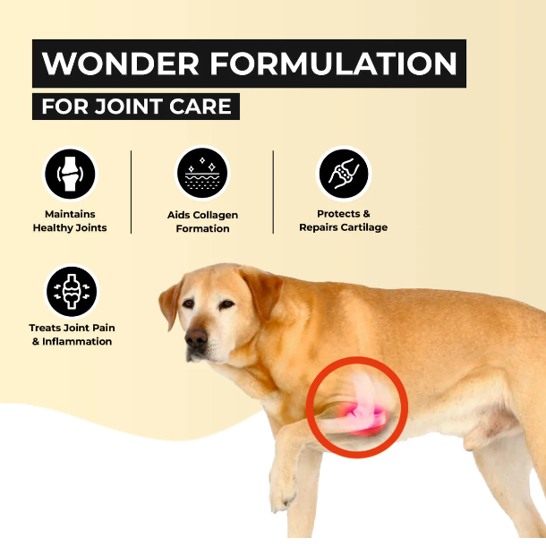 Joint Pain Medicine For Dogs And Cats 17119595623