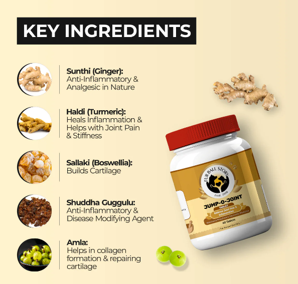 Joint Pain Medicine For Dogs And Cats 17119595635