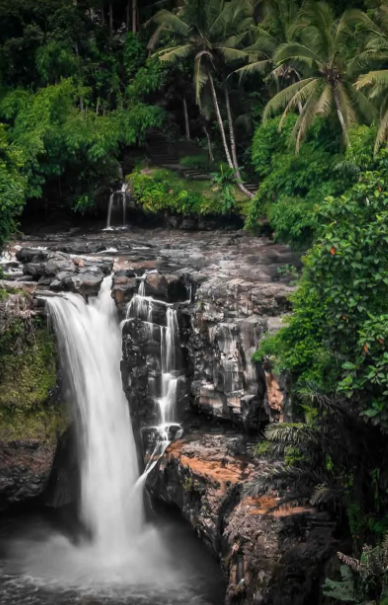 Kerala Tour Packages Explore Gods Own Country With Travel Hope 17599038905