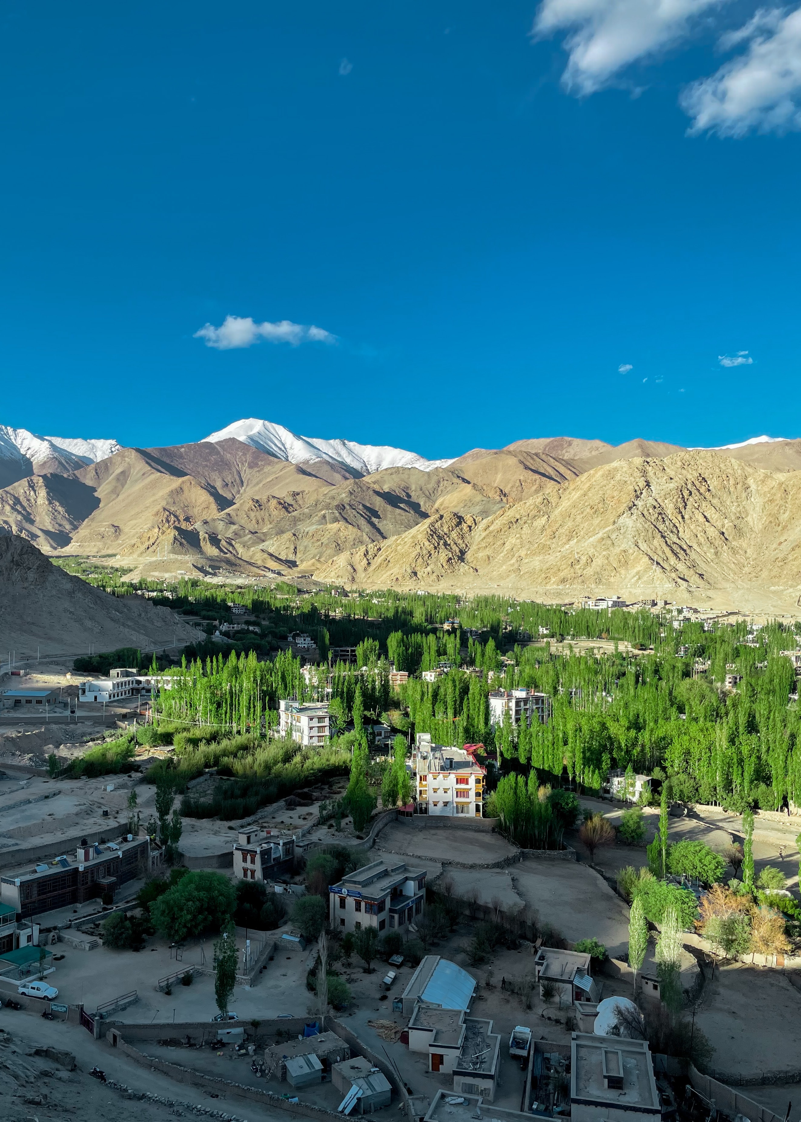 Ladakh Family Tour By Ladakh Travel Mart 16802554833