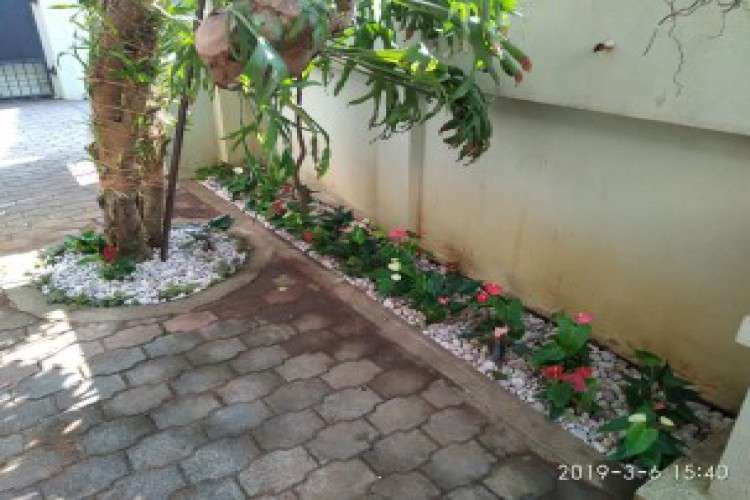 Landscape And Plantscape Services In Kerala 3701065