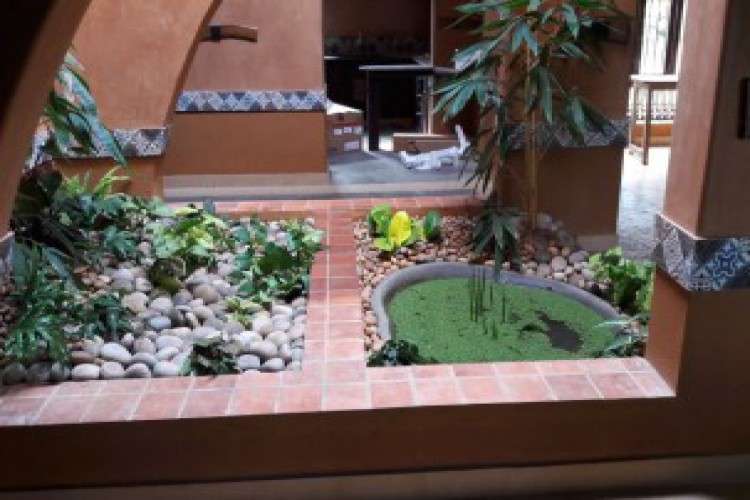 Landscape Plantscape And Variety Garden Services In Trivandrum 8327228