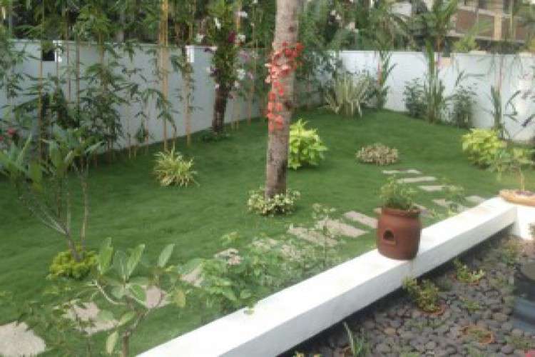 Landscape Services In Kerala 5794853