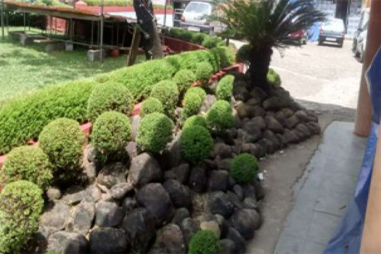 Landscape Services In Thiruvananthapuram 4667413