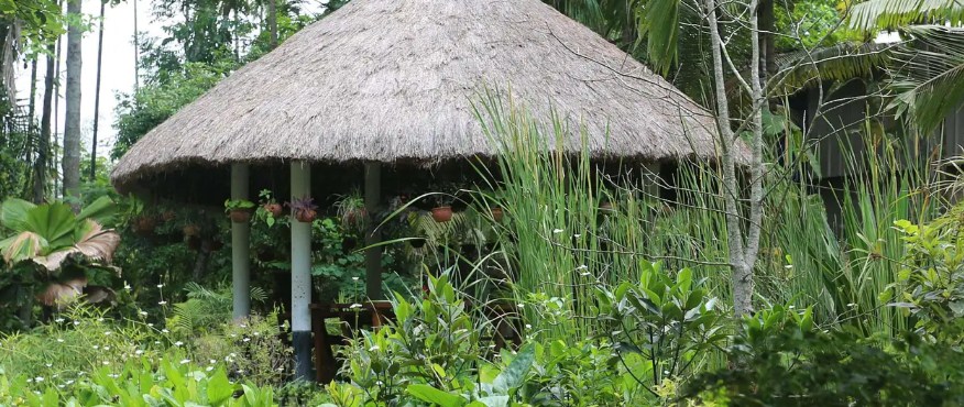 Landscaping Companies In Kolkata 17307040479